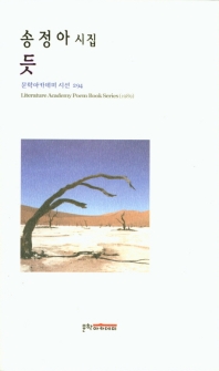 듯 (문학아카데미시선 294)